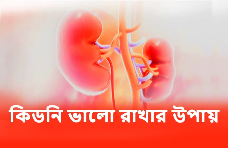 কিডনি সুস্থ রাখার ৬ টি ঊপায়!
